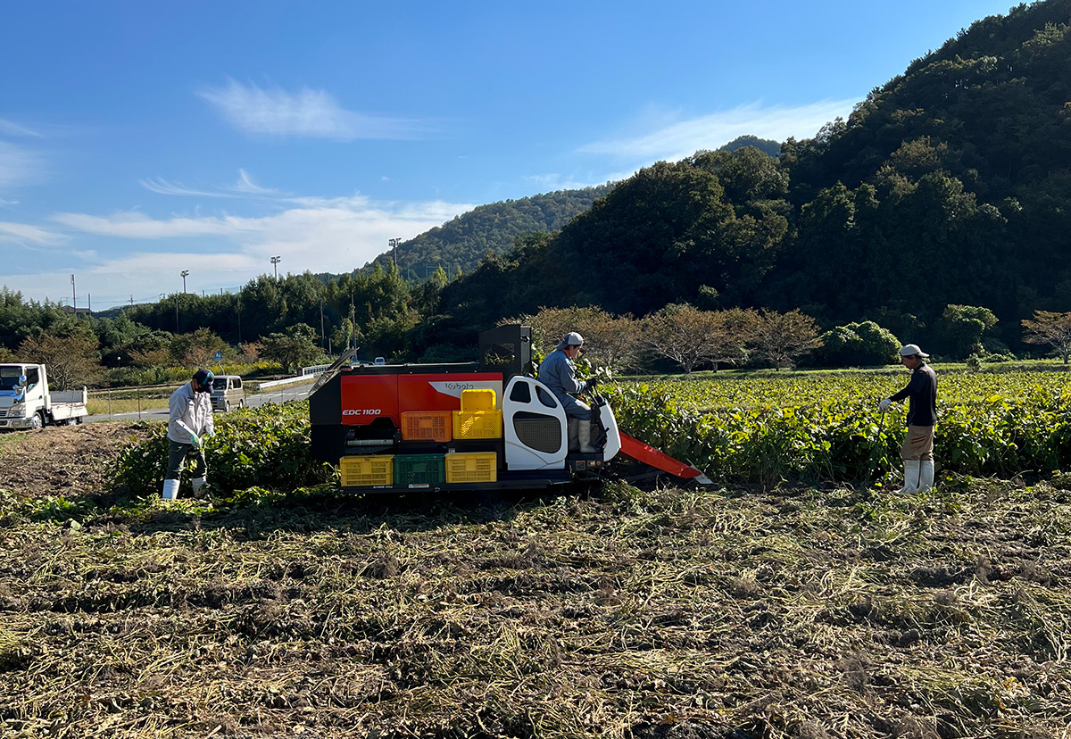 先輩インタビュー画像